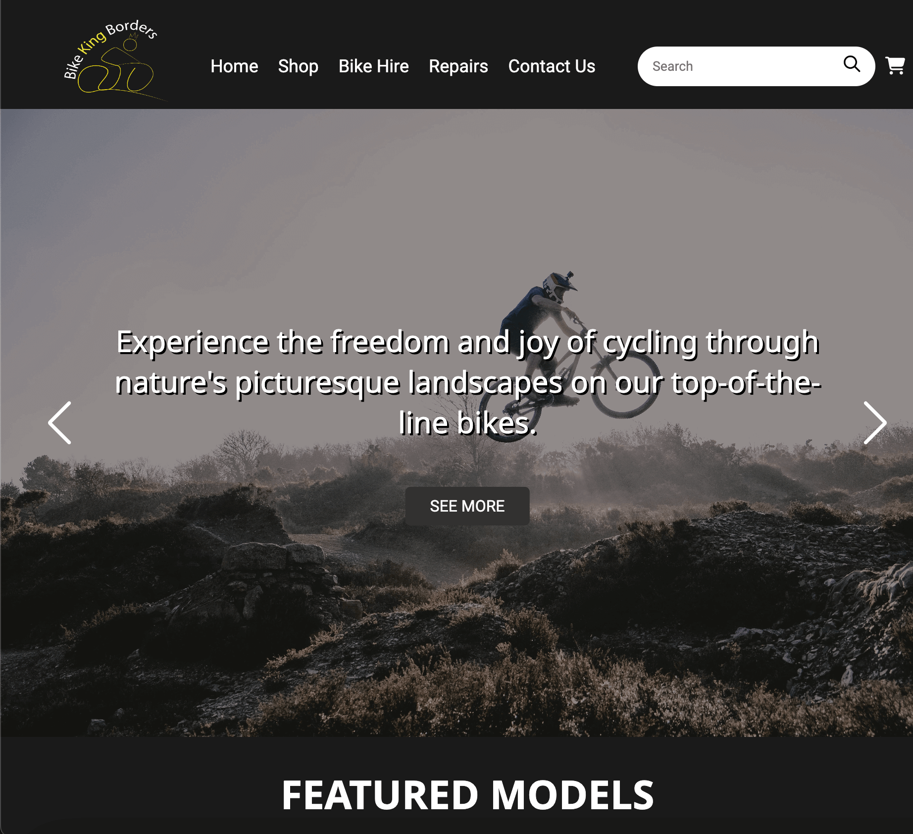 Bike King Borders Website Project